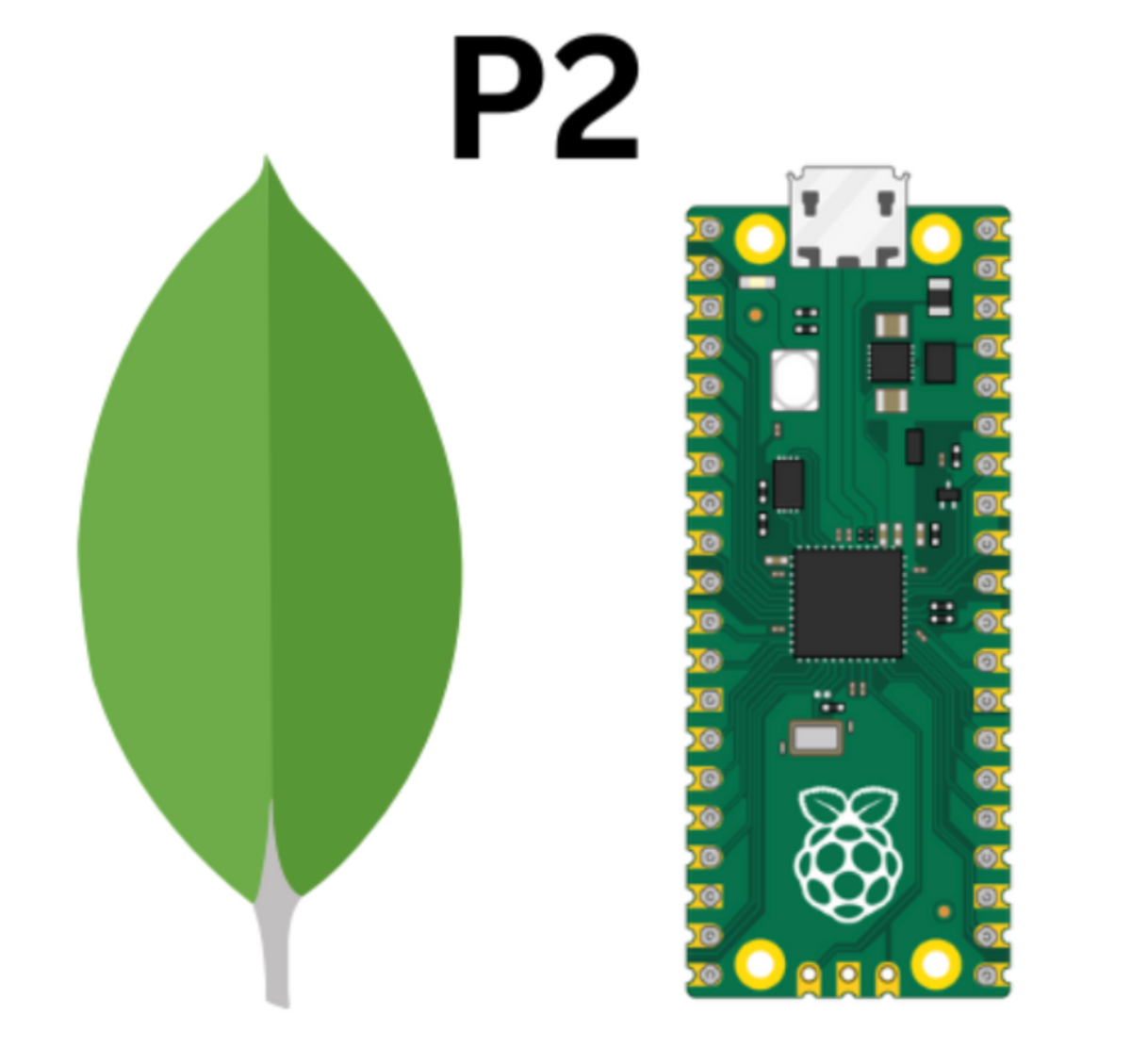 Raspberry Pi Pico W BME280: MongoDB Data API CRUD | ShillehTek