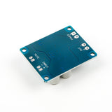 Back side of TPA3118 PBTL single digital amplifier board showing input, mute, power, and output terminals